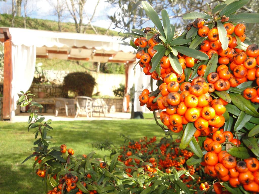 Agriturismo Le Valli Hotel Acuto Kültér fotó